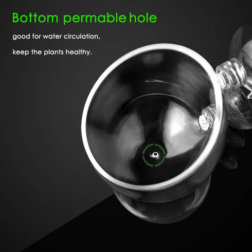 capetsma Aquarium Plant Pot, Glass Holder for Fish Tank Plants, Decoration Cup with 2 Suction Cups, 1 Pack