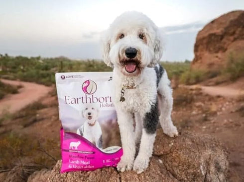 12.5 lb Earthborn Holistic Meadow Feast Lamb Meal & Vegetables Grain-Free Dry Dog Food