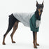 Dog Shirt for Small and Large Dogs Raglan Cotton T-Shirts Soft Breathable Dog Shirts pet Clothes Gray Series (X-Large, Gray/Green)