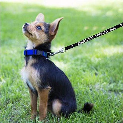 Emotional Support Dog Leash - Identification with or Without an Emotional Support Animal Vest, Includes Five ESA
