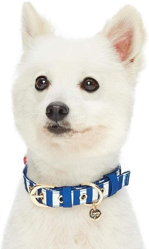 Blueberry Pet 4 Patterns Bon Voyage Sea Lover Adjustable Dog Collar in Chunky Nautical Blue Stripes, Neck 9-12.5" for