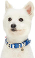 Blueberry Pet 4 Patterns Bon Voyage Sea Lover Adjustable Dog Collar in Chunky Nautical Blue Stripes, Neck 9-12.5" for