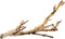 Exo Terra Small Forest Branch