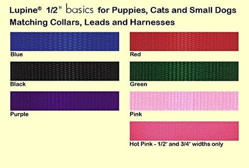 LupinePet Basics 1/2" Blue Extra-Long Training Lead/Leash for Small Pets, 15-foot