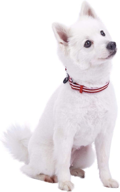Blueberry Pet 3M Reflective Dog Collars, Adjustable Multi-Colored Stripe, Marsala Red and Pink, Nylon Pet Collars