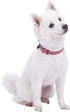 Blueberry Pet 3M Reflective Dog Collars, Adjustable Multi-Colored Stripe, Marsala Red and Pink, Nylon Pet Collars