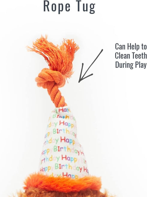 Pet London Happy Birthday Dog Toy - 2 Toys in 1, Plush Dog and Detachable Present, Squeaky Gift for Dog