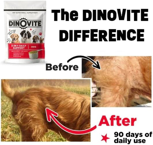 Dinovite Probiotic Supplement for Dogs, Omega 3 for Hot Spot Relief, Skin & Coat Supplement - 30 Day Supply