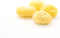 Nautical Crush Trading Hermit Crab Sea Sponges | Natural Sea Sponges for