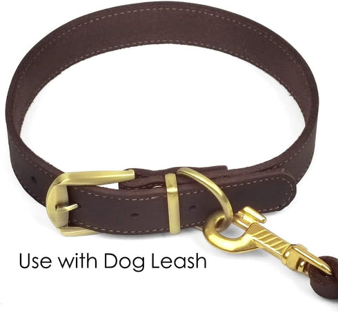 QRDA Leather Dog Collar - Heavy Duty Premium Training Collar for Medium/Large Dogs