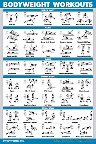 QuickFit 3 x Dumbbell Training Charts + Kettlebell Exercises + Body Weight Routine Poster