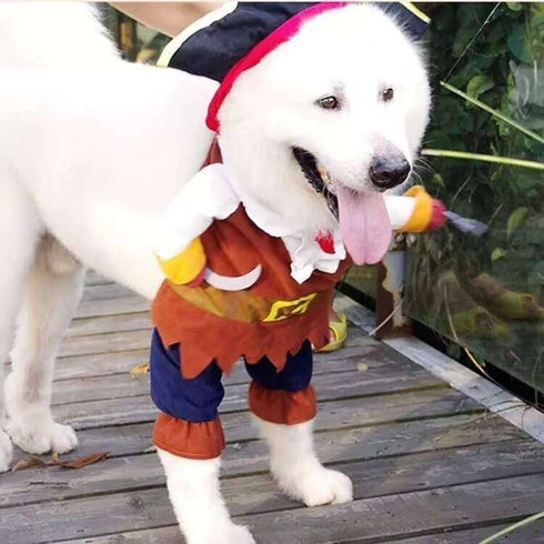 Idepet New Funny Pet Clothes, Pirate Dog Cat Costume Suit, X-Large, Corsair Dressing Up Party Apparel with Hat