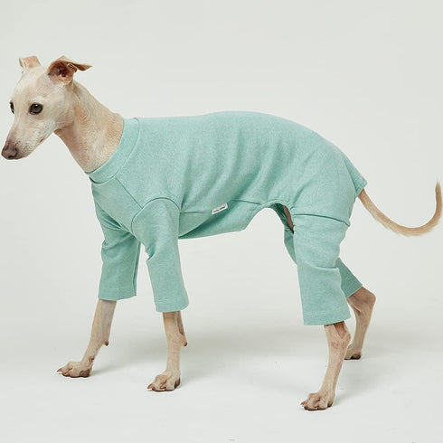 Basic Dog Pajamas in Pastel Mint, Durable and Elastic Dog Onesie Apparel for Large Dogs