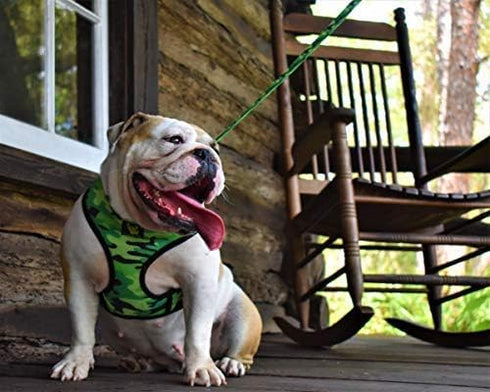 EcoBark Dog Leash, Soft & Reflective Comfort Training Leashes with Padded Handle for Small, Medium, Large Dogs (Camo)
