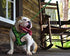 EcoBark Dog Leash, Soft & Reflective Comfort Training Leashes with Padded Handle for Small, Medium, Large Dogs (Camo)