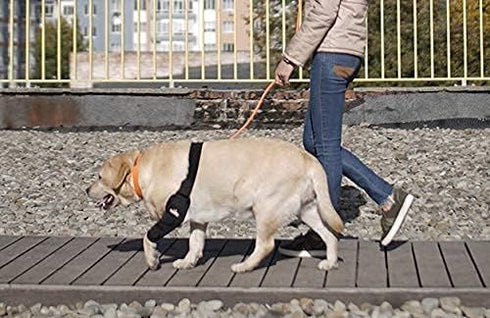 Elbow Elbow Elbow Elbow NeoAlly Dog Brace Protector Pads for Canine and Shoulder Support Hygroma, Dysplasia