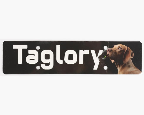 Taglory Reflective Dog Collar with Safety Locking Buckle, Adjustable Nylon for Extra Large Dogs, Red, XL