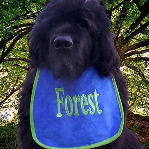 Personalized Dog Bib with Name/Nickname: Handmade, Waterproof Backing, Stylish & Comfortable - pups to Adults - Stylish