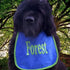 Personalized Dog Bib with Name/Nickname: Handmade, Waterproof Backing, Stylish & Comfortable - pups to Adults - Stylish