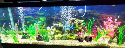 Ceramic Shelters 2 Pcs, Fish Tank Accessories, Swim Holes Aquatic Cave for Freshwater and Saltwater Fish