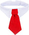 ZTON Bowtie for Little Puppy - Handcrafted Adjustable Formal Collar Neck Tie for Dogs & Cats (L, Red)