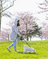 6FT Reflective Dog Leash for Large, Medium, and Small Dogs, Nylon Leash for Walking and Training, 1 inch x 6FT (Black)