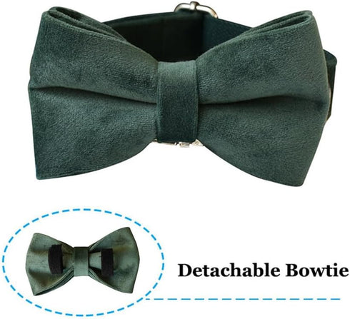 Adjustable Dog Collar with Bow Tie, Velvet Pet Collar for Small Medium Large Dogs and Cats, Neck 10.6-16.1 Inches