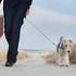 4 Pcs Chew Proof Dog Leash, Heavy Duty Training Rope Extender for Any Leash & Collar for Large Medium Dogs