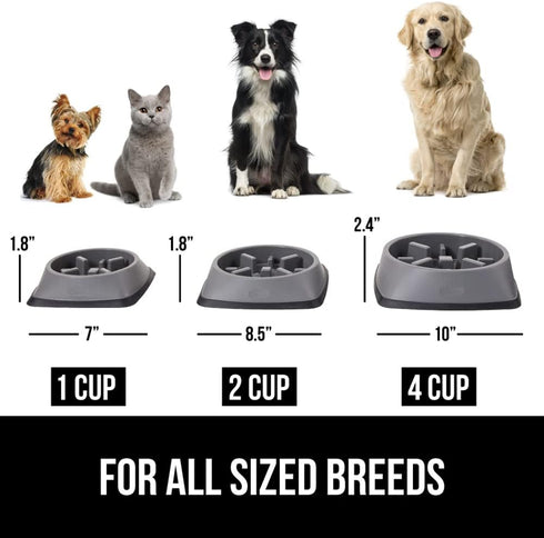 GORILLA GRIP Patent Pending Slow Feeder Dog Bowls - Interactive Puzzle Toy for Dogs and Cats, 2 Cup, Gray