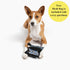 Best BARKIN' Wipes - Dog Wipes for Paws, Ears, and Butt - Micellar Aloe Scented - Travel Friendly - 12-Pack with Free