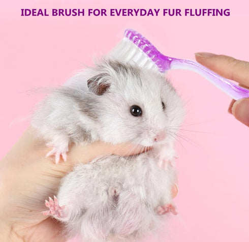 3PC Chinchilla Small Animal Bath Brush with Lid Soft Cleansing Brush Massage Combs for Hedgehog Guinea Pig Rabbit