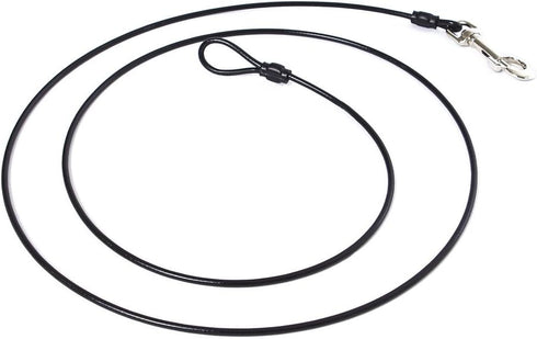 Training Tie Down, Short Tether for Dogs & Teething Puppies (4 feet)