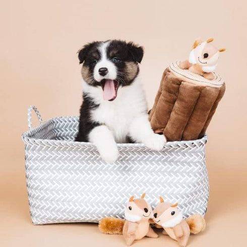 ZippyPaws Burrow- Interactive Dog & Puppy Toys for Boredom, Stimulating Pet Products to Keep them Busy, Hide & Seek