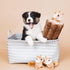 ZippyPaws Burrow- Interactive Dog & Puppy Toys for Boredom, Stimulating Pet Products to Keep them Busy, Hide & Seek
