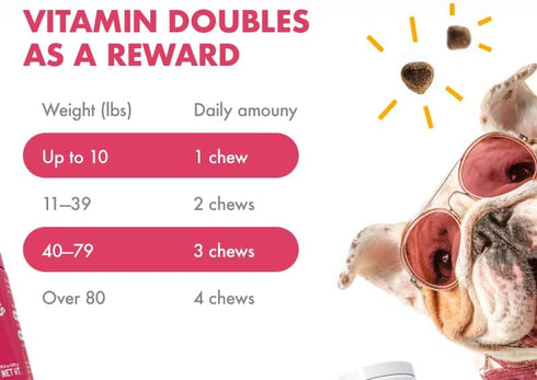 Immune 120 Cranberry UTI Chews for Dogs Bladder Support + D-Mannose Supports Kidney Urinary Tract and Bladder Health
