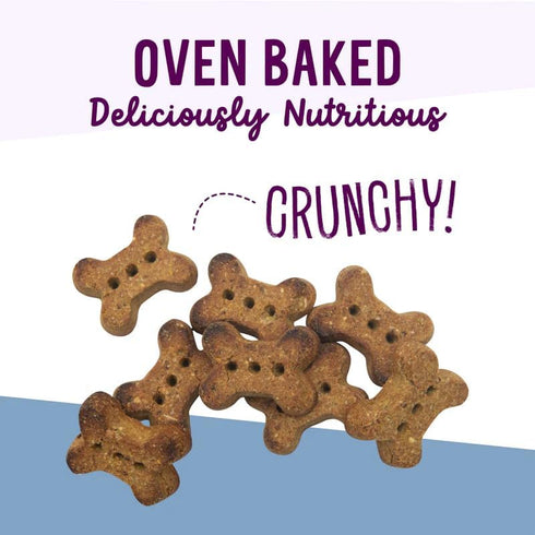 Health Extension 6oz Oven-Baked Dog Treats, Lamb & Blueberry Recipe – Gluten & Grain-Free, Crunchy Biscuits