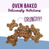 Health Extension 6oz Oven-Baked Dog Treats, Lamb & Blueberry Recipe – Gluten & Grain-Free, Crunchy Biscuits