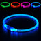 BSEEN Light Up Dog Collar, USB Rechargeable Flash Necklace for Pet Safety, Blue for Small Medium Large Dogs