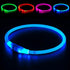 BSEEN Light Up Dog Collar, USB Rechargeable Flash Necklace for Pet Safety, Blue for Small Medium Large Dogs