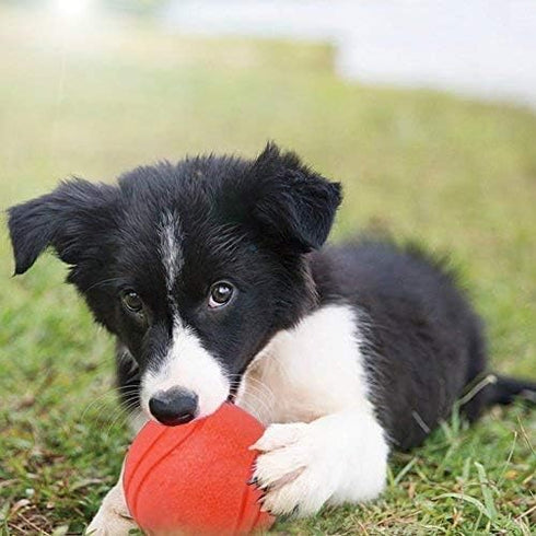 GaesQae Hard Rubber Balls for Dogs, Indestructible Bouncy Ball for Dog Training
