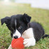 GaesQae Hard Rubber Balls for Dogs, Indestructible Bouncy Ball for Dog Training
