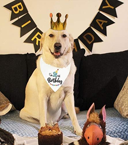 YROVWENQ Funny Cute 2 Years Dog Birthday Bandana Scarfs, Dog Birthday Party Crown Hat for Pet Decoration