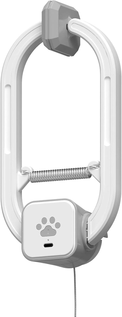 Automatic Rechargeable Cat Teaser, Door Mount Hanging Interactive Cat Toy, 360 Spinning