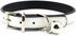 Metal Buckle Pet Collar with Bell, Suit for Cats or Puppy Dogs in White/Black/Red/Pink/Blue/Brown (M, White)