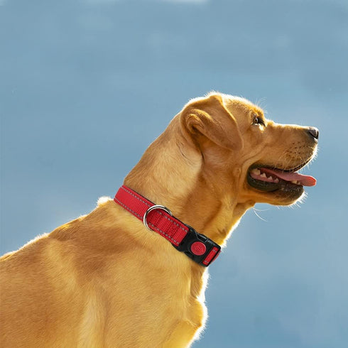 Taglory Reflective Dog Collar with Safety Locking Buckle, Adjustable Nylon for Extra Large Dogs, Red, XL