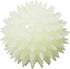 Gnawsome Glow-in-The-Dark Spiky Ball- Small 2.5"