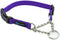 Max and Neo Stainless Steel Chain Martingale Collar, X-Small, Purple - We Donate for Every Collar