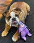 Durable Dog Toy with Squeaker | Tough Chew Toy, Wild Woodies - A Gorilly Named Billy Medium 9"
