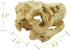 Aquarium Decoration - Skeleton Hole Resin Dinosaur Skull Ornament for Fish Tank & Reptile House