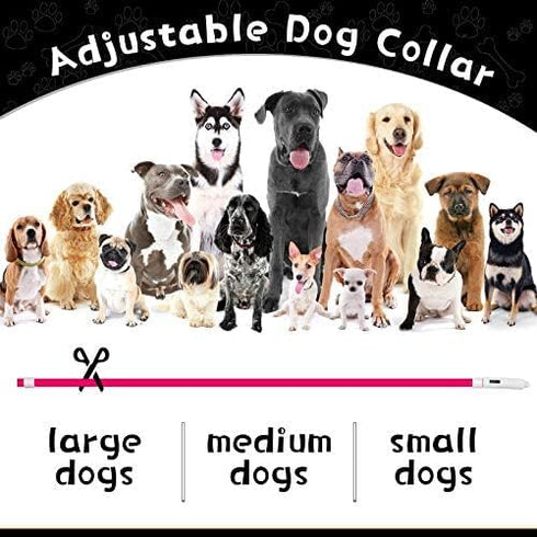 3 Pieces LED Dog Collar Light Up Rechargeable Dog Lights for Night Walking, Adjustable for Large Medium Small Dogs